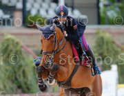 CHIMIRRI V GINGER ItaAss2013- S5 1436 : CHIMIRRI VINCENZO, Campionati Italiani 2013, Cattolica, GINGER, Horse Riviera Resort, foto di Stefano Secchi ©